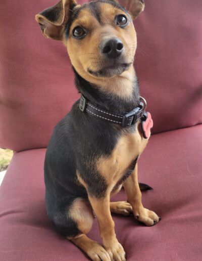 Amber Fenison, only 5 months old