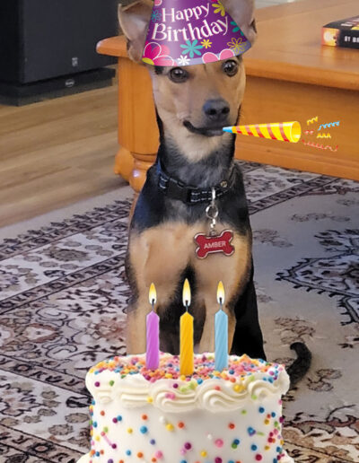 Its Amber's 3rd Birthday