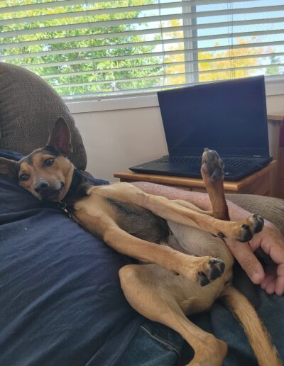 Amber trying to be a doggie porn queen and showing off her long legs