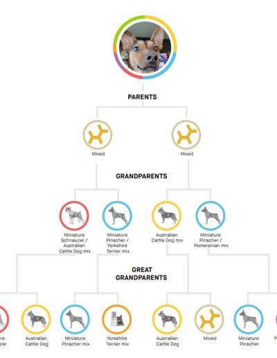 Amber's Family Tree